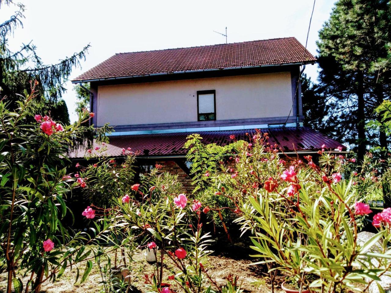 Locomotiv Vendeghaz Hercegszanto Exterior photo